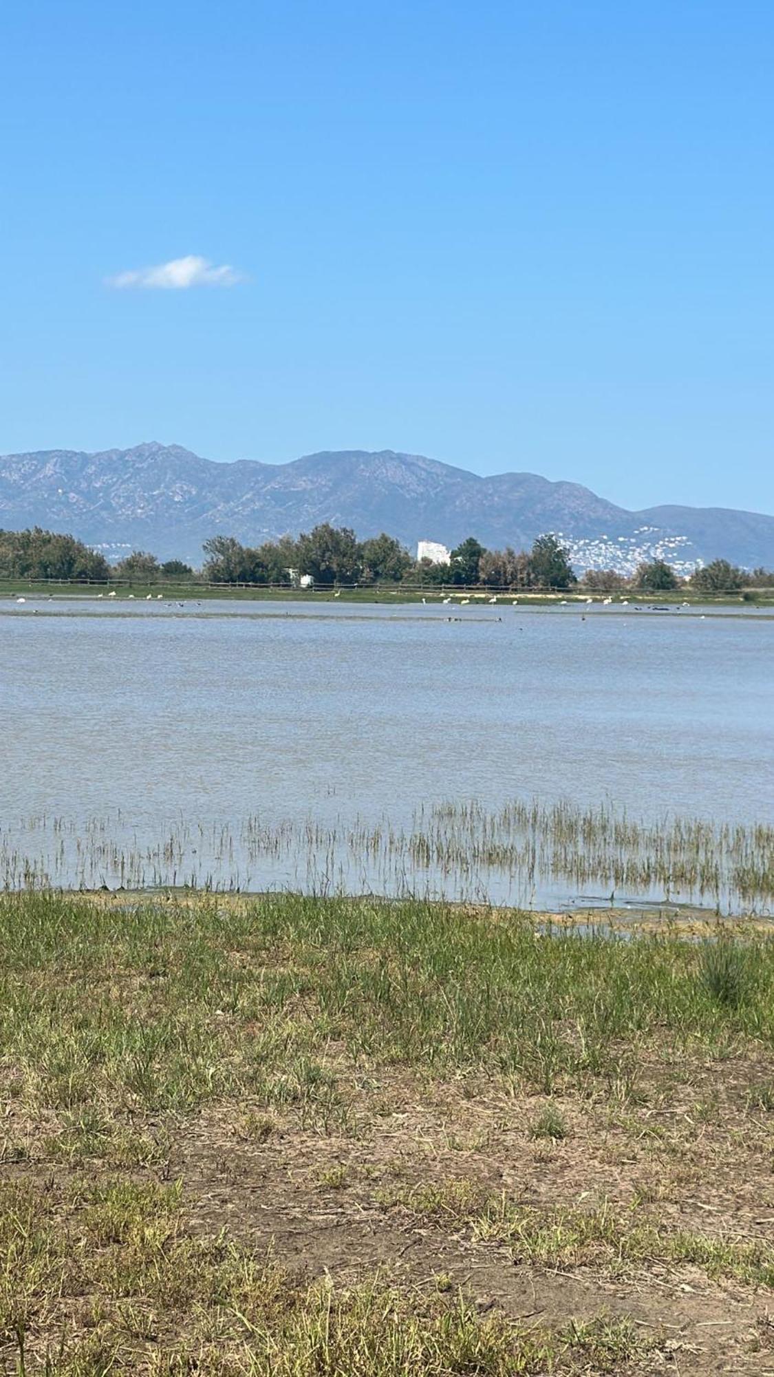 Requesens Playa Διαμέρισμα Empuriabrava Εξωτερικό φωτογραφία